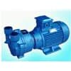 珠海 泊泵機電 水環真空泵 2BVA-6121 廠家供應