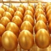 金蛋生產(chǎn)廠家,臨沂金蛋生產(chǎn)廠家/好運(yùn)到金蛋廠