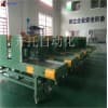 碳鋼板鏈輸送機