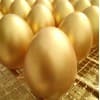 金蛋批發(fā),臨沂金蛋批發(fā)/好運(yùn)到金蛋廠