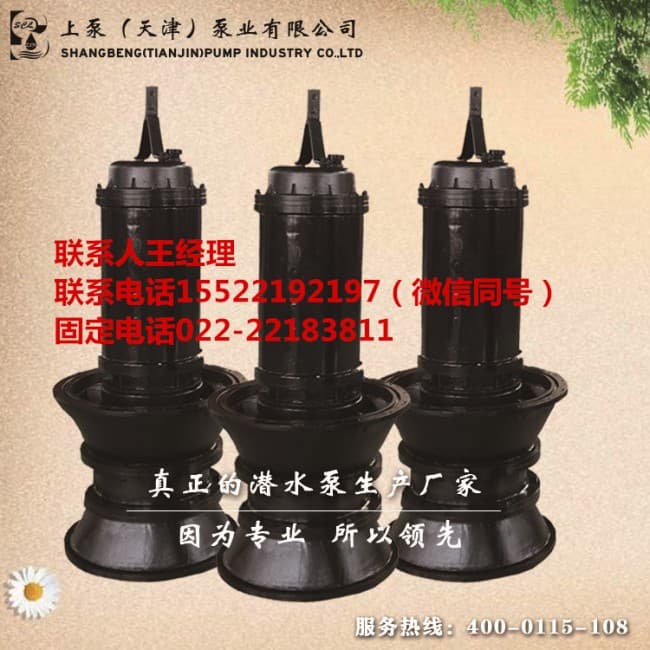 2 (2)_副本