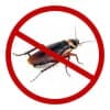 宿豫滅蟑螂公司-中澤生物