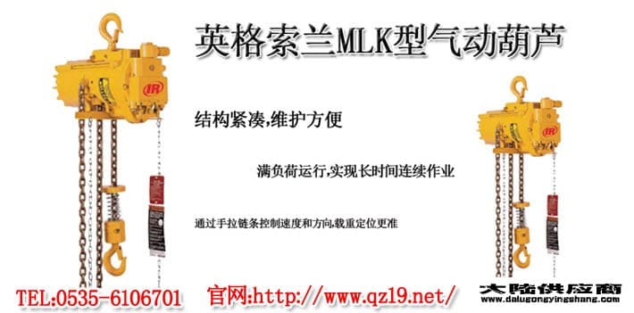 英格索蘭氣動葫蘆1