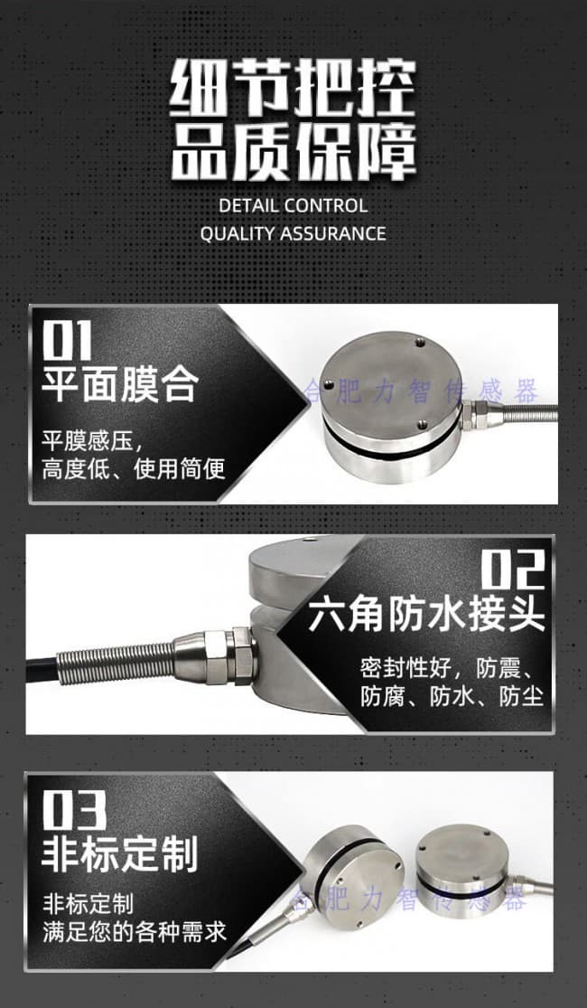 LZ-F1詳情 (5)