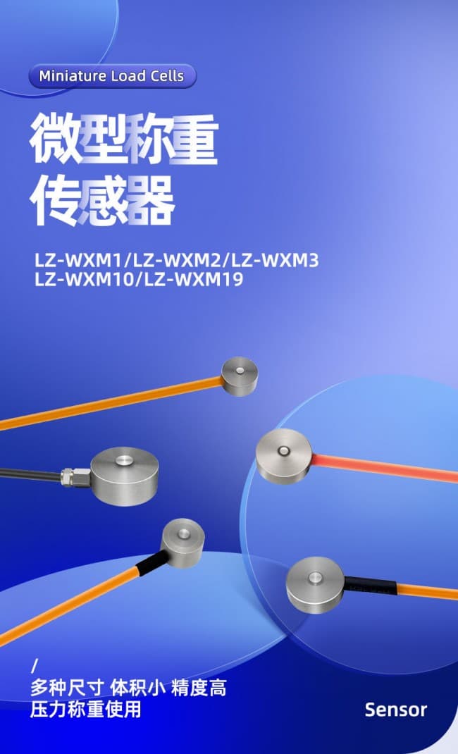 LZ-WXM1詳情 (1)