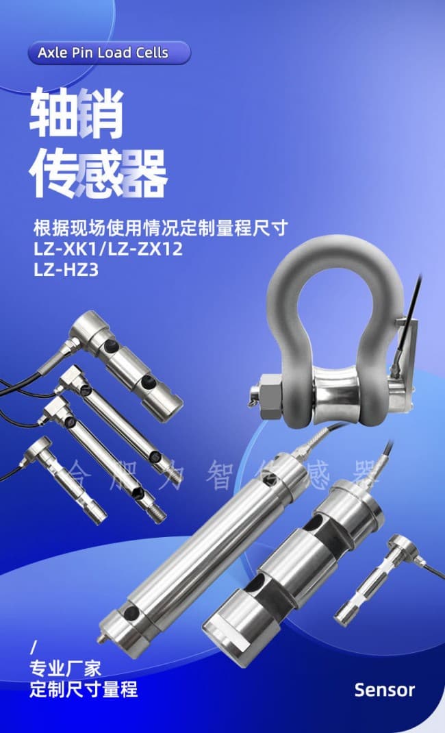 LZ-ZX詳情 (1)
