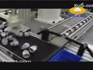 自動化機械手視頻 (1202播放)